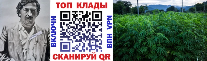 Какие есть наркотики Берёзовский blacksprut ССЫЛКА  Марихуана  Меф мяу мяу  СК  ГАШИШ  COCAIN 