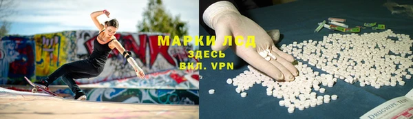 кокс Баксан